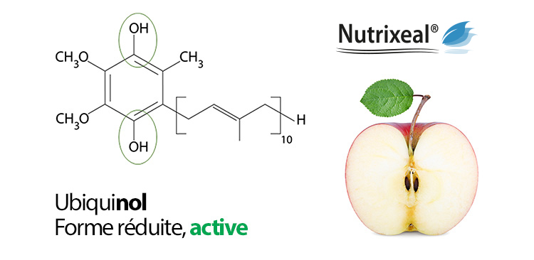 Ubiquinol forme réduite, active 